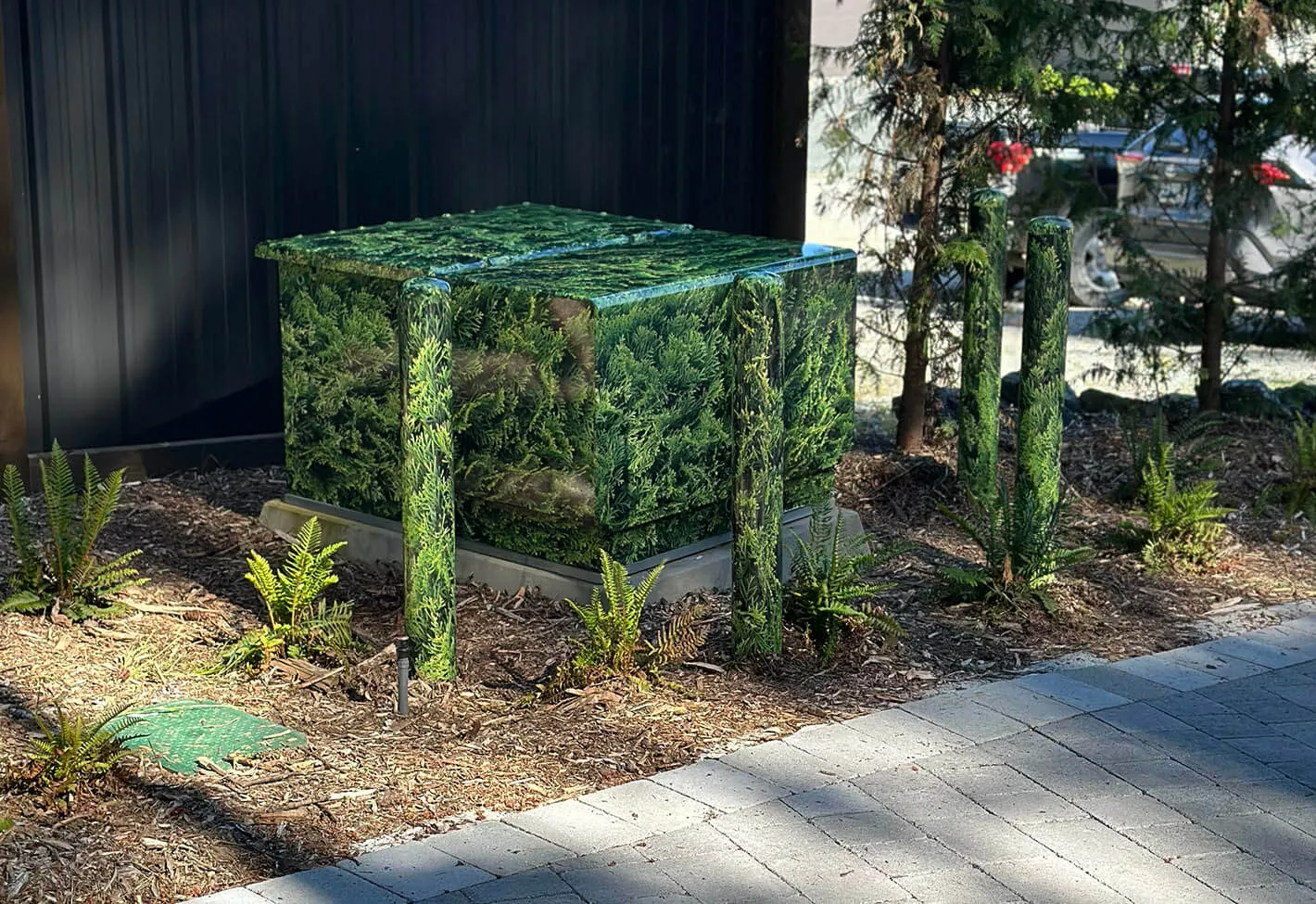 BC Hydro box graphics