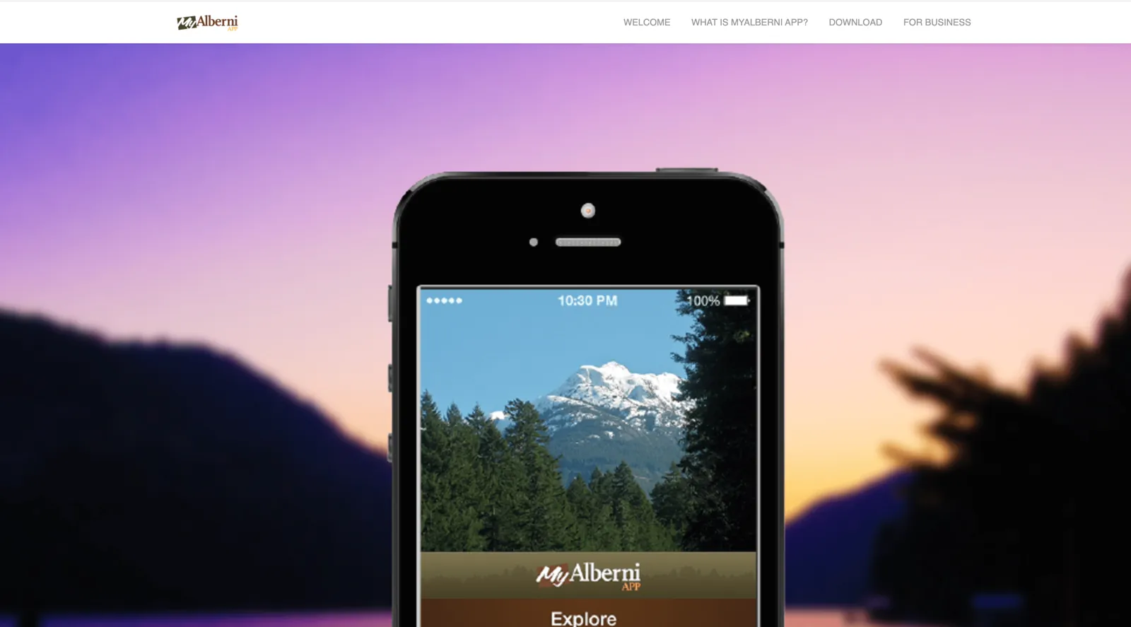 Website Development
